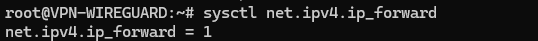 Capture d'écran de l'état d'activation du routage IP via sysctl